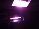 Superflux LED Dome Light pink dome light