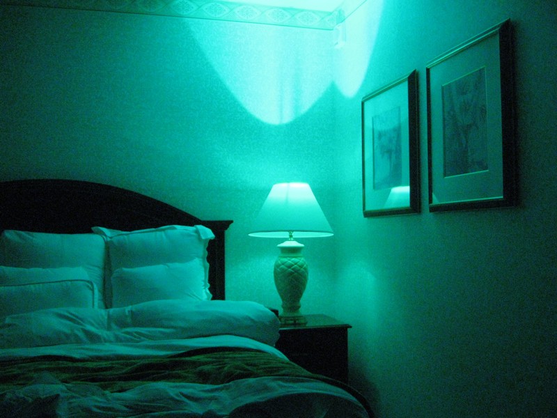 Teal colored light deals bulbs