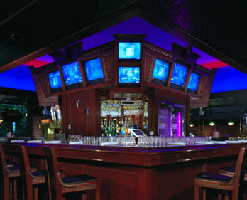 High Intensity LED Flood